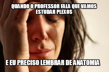 quando-o-professor-fala-que-vamos-estudar-plexos-e-eu-preciso-lembrar-de-anatomi