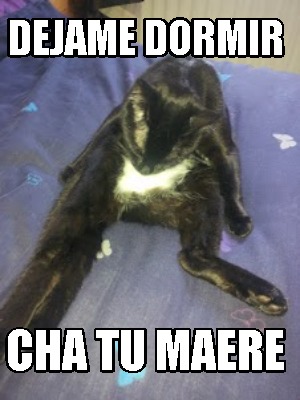 dejame-dormir-cha-tu-maere