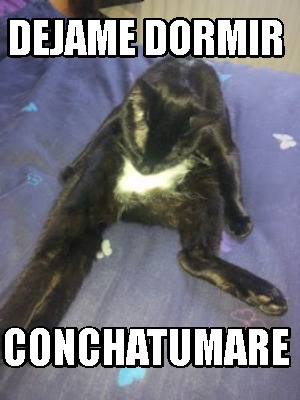 dejame-dormir-conchatumare