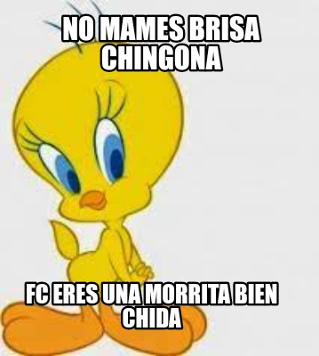 no-mames-brisa-chingona-fc-eres-una-morrita-bien-chida