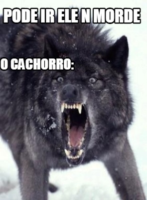 pode-ir-ele-n-morde-o-cachorro5