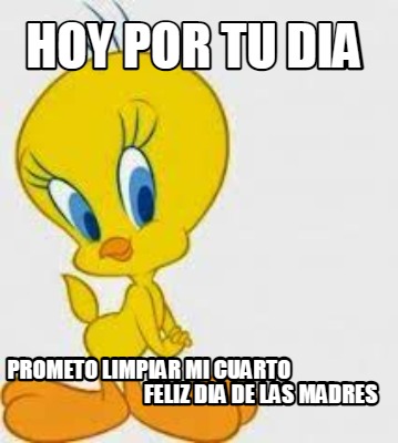 hoy-por-tu-dia-prometo-limpiar-mi-cuarto-feliz-dia-de-las-madres