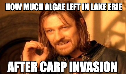 how-much-algae-left-in-lake-erie-after-carp-invasion