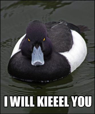 i-will-kieeel-you