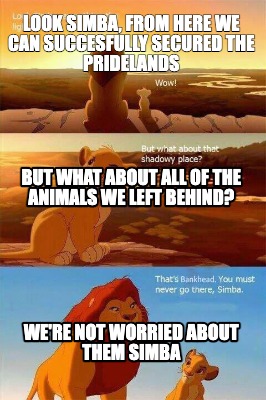 look-simba-from-here-we-can-succesfully-secured-the-pridelands-were-not-worried-