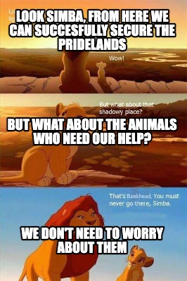 look-simba-from-here-we-can-succesfully-secure-the-pridelands-we-dont-need-to-wo