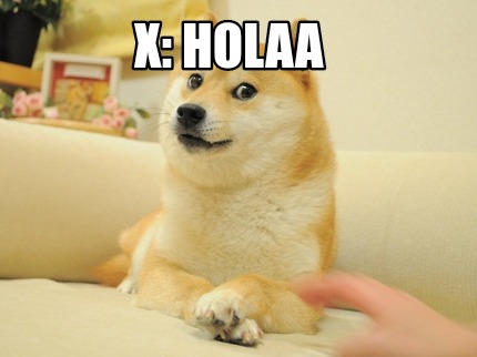 x-holaa-x-