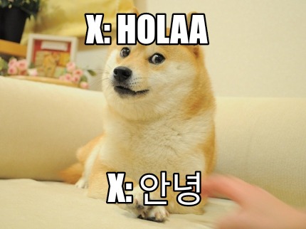 x-holaa-x-4