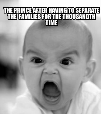 the-prince-after-having-to-separate-the-families-for-the-thousandth-time