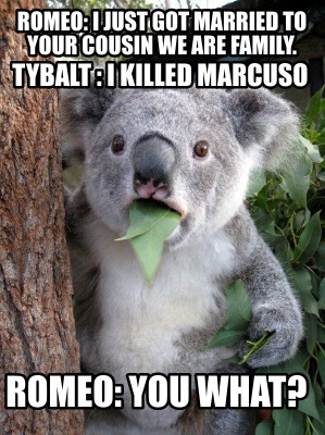 romeo-i-just-got-married-to-your-cousin-we-are-family.-tybalt-i-killed-marcuso-r