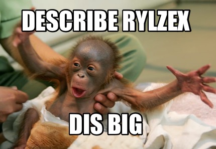 describe-rylzex-dis-big