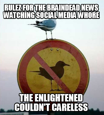 rulez-for-the-braindead-news-watching-social-media-whore-the-enlightened-couldnt