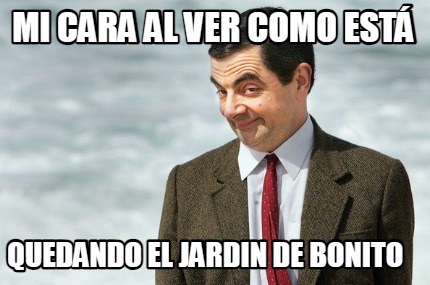 mi-cara-al-ver-como-est-quedando-el-jardin-de-bonito