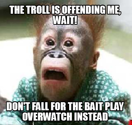 the-troll-is-offending-me-wait-dont-fall-for-the-bait-play-overwatch-instead