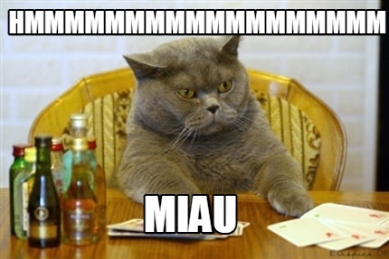 hmmmmmmmmmmmmmmmmmm-miau