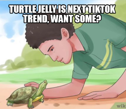 turtle-jelly-is-next-tiktok-trend-want-some