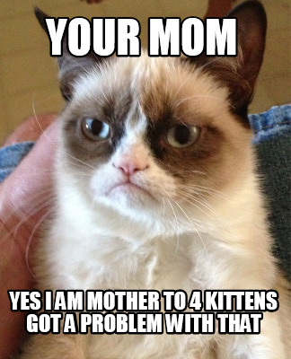 your-mom-yes-i-am-mother-to-4-kittens-got-a-problem-with-that