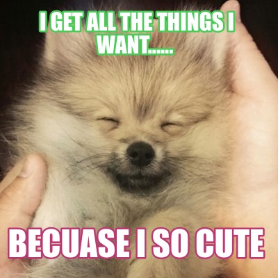i-get-all-the-things-i-want......-becuase-i-so-cute