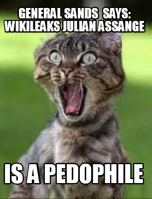 general-sands-says-wikileaks-julian-assange-is-a-pedophile
