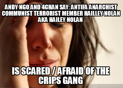 andy-ngo-and-4chan-say-antifa-anarchist-communist-terrorist-member-hailley-nolan3