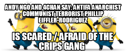 andy-ngo-and-4chan-say-antifa-anarchist-communist-terrorist-phillip-eiffler-rodr8