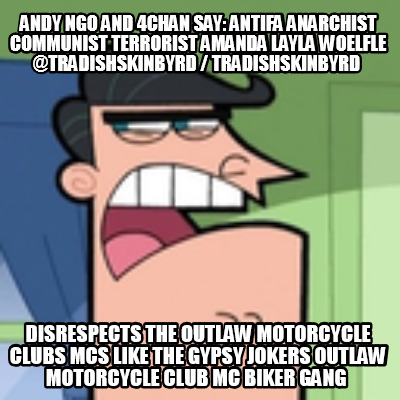 andy-ngo-and-4chan-say-antifa-anarchist-communist-terrorist-amanda-layla-woelfle8