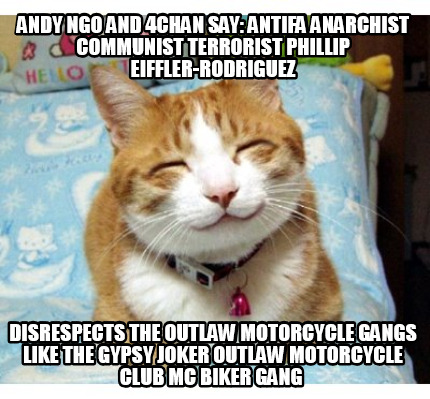 andy-ngo-and-4chan-say-antifa-anarchist-communist-terrorist-phillip-eiffler-rodr69