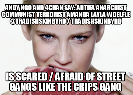 andy-ngo-and-4chan-say-antifa-anarchist-communist-terrorist-amanda-layla-woelfle02