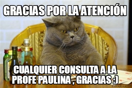 gracias-por-la-atencin-cualquier-consulta-a-la-profe-paulina-gracias-