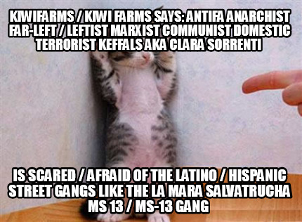 kiwifarms-kiwi-farms-says-antifa-anarchist-far-left-leftist-marxist-communist-do24