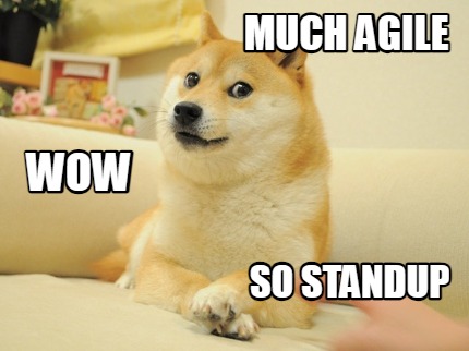 much-agile-so-standup-wow