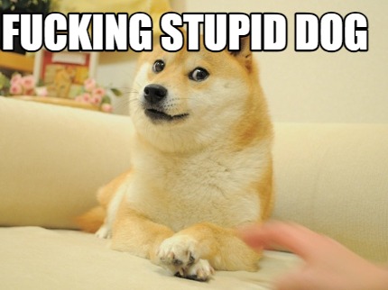 fucking-stupid-dog