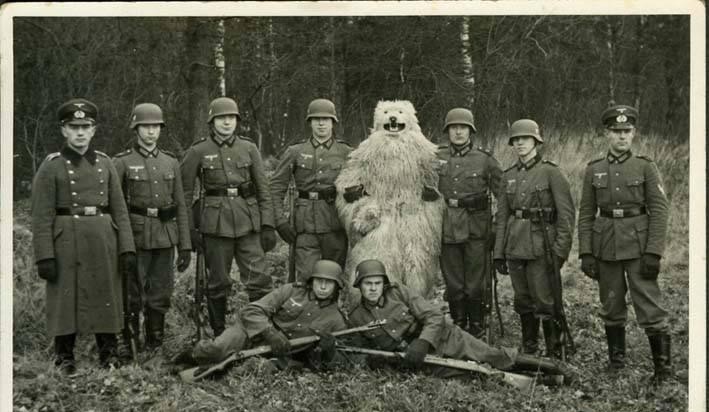 german-bear