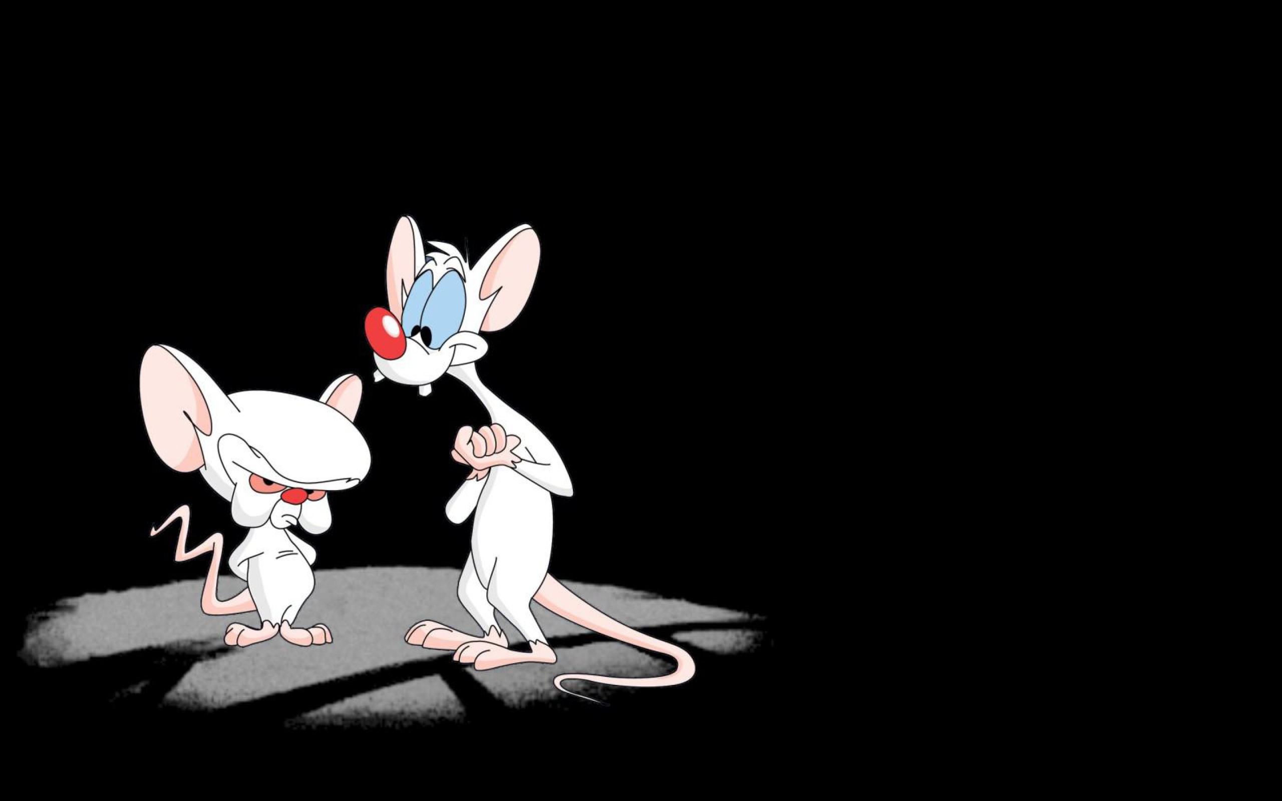 pinky-and-the-brain-hd-wallpaper.jpg